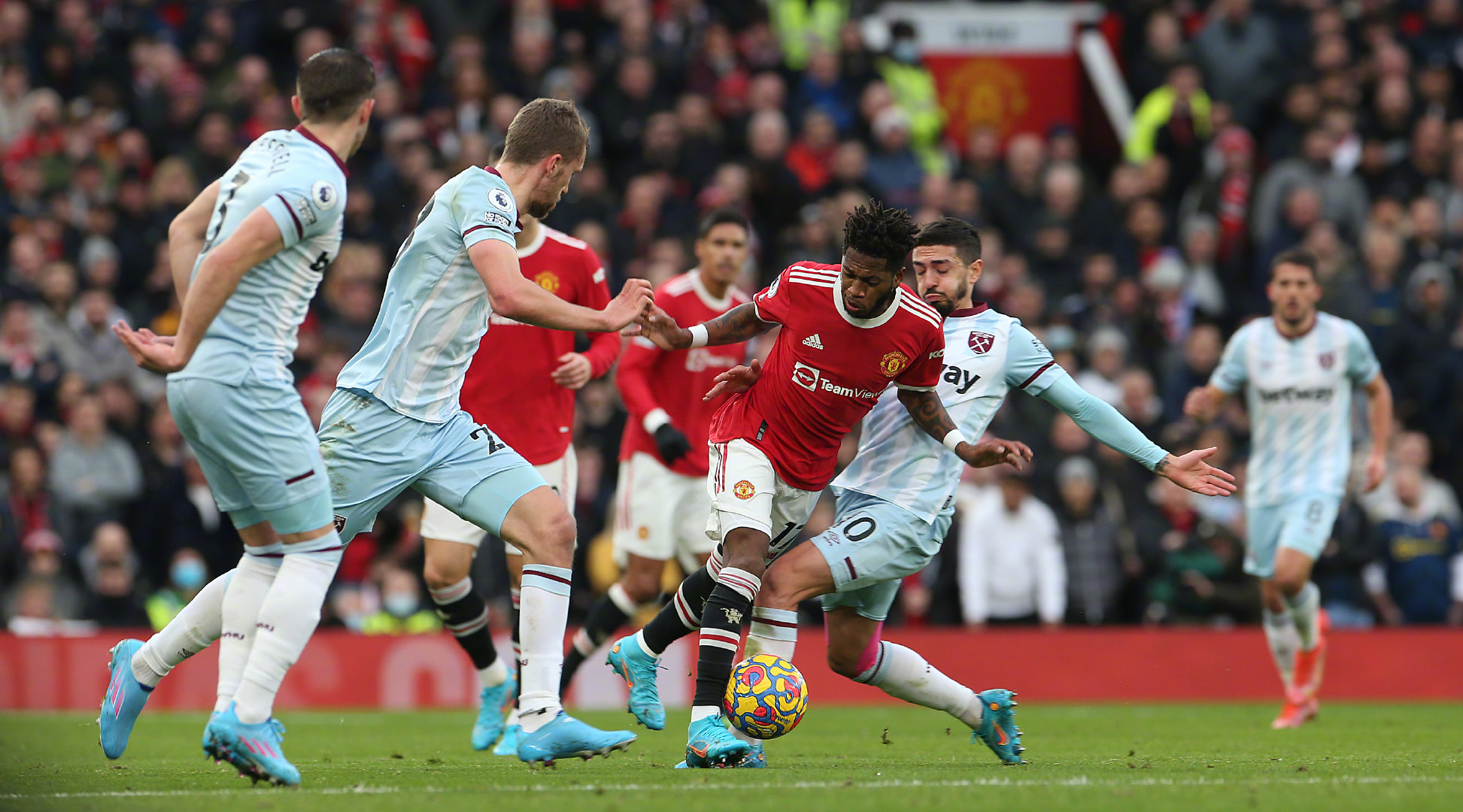 入了新的活 入了新的活